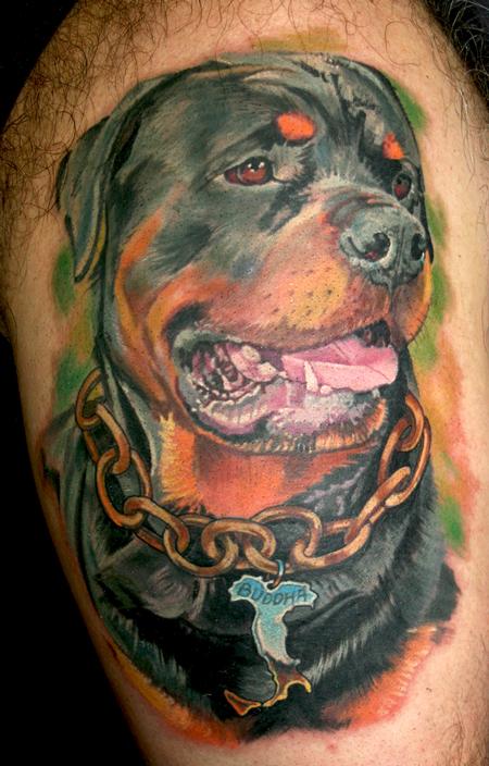 Tattoos - Rottweiler portrait - 62517